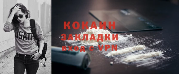 дживик Архангельск