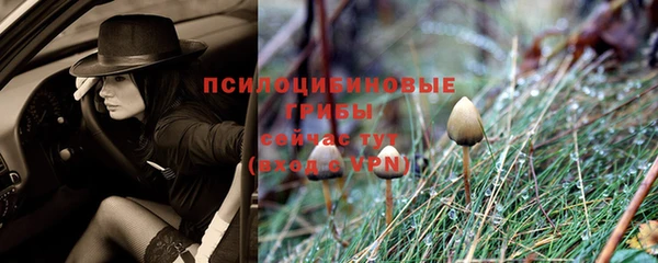 дживик Архангельск